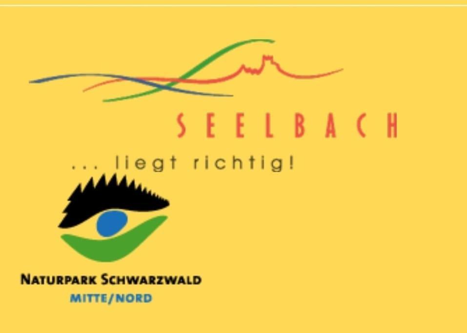Ferienwohnung Talblick Im Schwarzwald Seelbach  Exterior photo