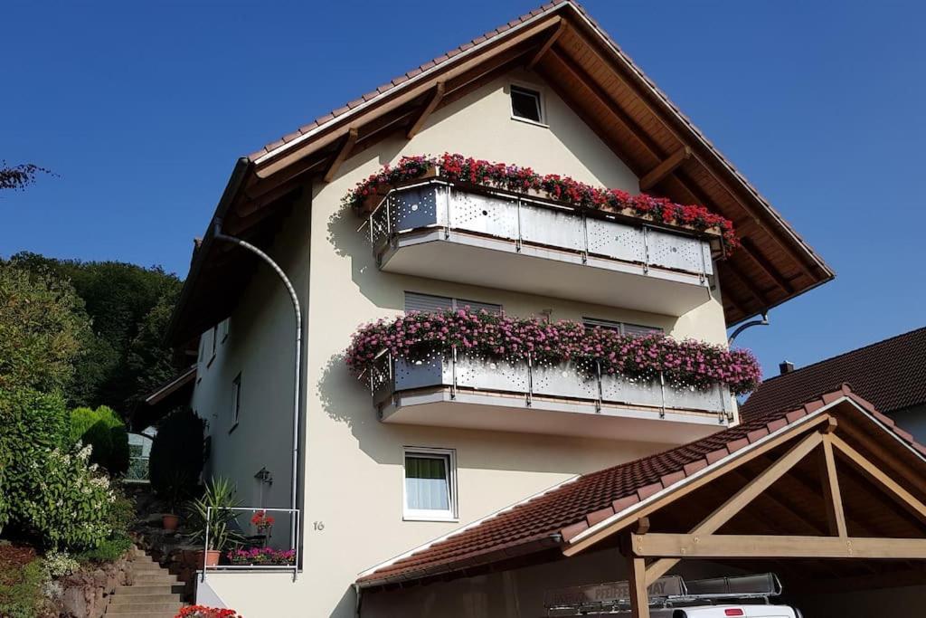 Ferienwohnung Talblick Im Schwarzwald Seelbach  Exterior photo
