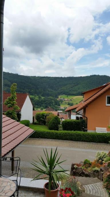 Ferienwohnung Talblick Im Schwarzwald Seelbach  Exterior photo
