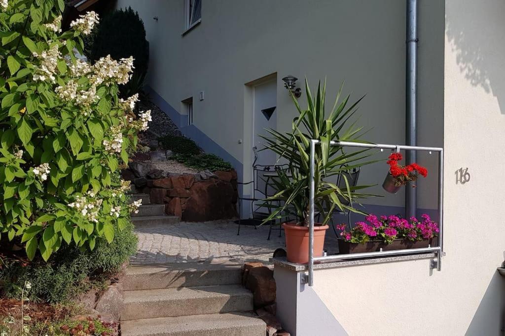 Ferienwohnung Talblick Im Schwarzwald Seelbach  Exterior photo